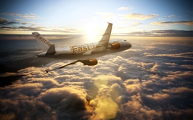 Aviones Airbus A300, el cielo, las nubes, los rayos del sol HD fondos de pantalla
