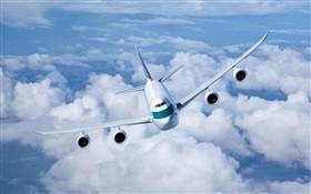 Aviones en el mar de nubes HD fondos de pantalla