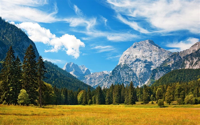 Alpes, otoño, cielo azul, nubes, bosque, hierba Fondos de pantalla, imagen