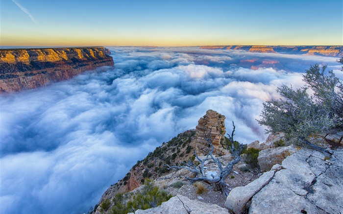 Arizona, EE.UU., Gran Cañón, mañana, salida del sol, niebla, nubes Fondos de pantalla, imagen