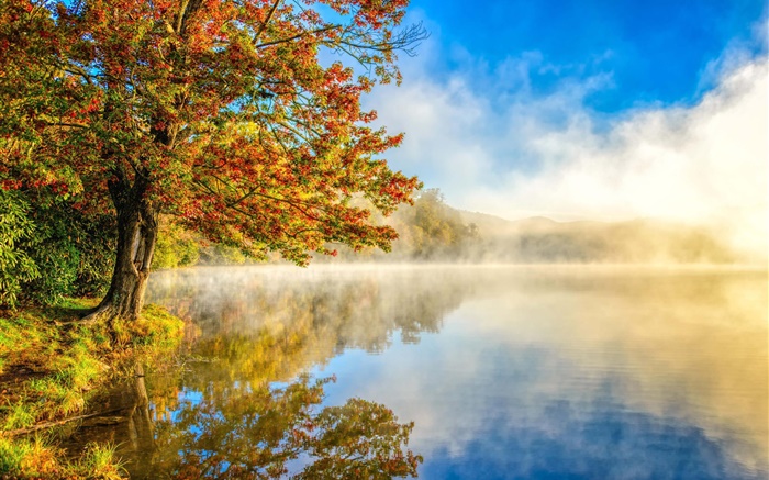 Paisaje de otoño, lago, niebla, bosque Fondos de pantalla, imagen