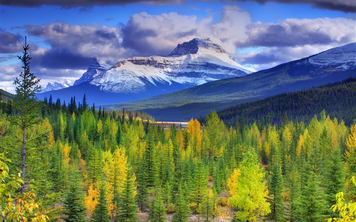 Parque Nacional Banff, Alberta, Canadá, montañas, cielo, bosque, árboles Fondos de pantalla, imagen