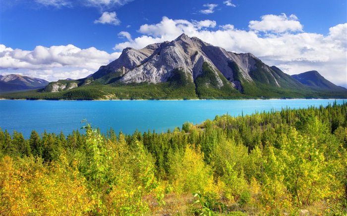 Banff Park, Alberta, Canadá, Abraham lago, montaña, árboles Fondos de pantalla, imagen