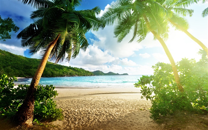 Paisaje de la playa, el mar, las palmeras, el cielo, las nubes, el sol Fondos de pantalla, imagen