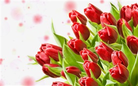 Flores del ramo, tulipanes rojos