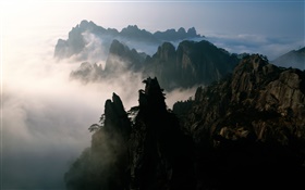 China, montañas, niebla, amanecer