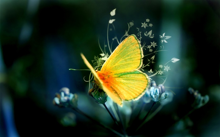 diseño creativo, mariposa amarilla Fondos de pantalla, imagen