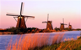 Paisaje holandés, molinos de viento, los ríos, la tarde