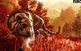 Grito Lejano 4, tigre blanco HD fondos de pantalla