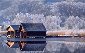 Casas, río, árboles, invierno, Alemania