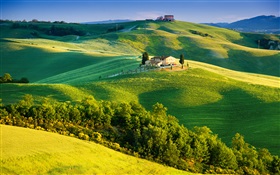 Italia, campos verdes, hermoso paisaje HD fondos de pantalla