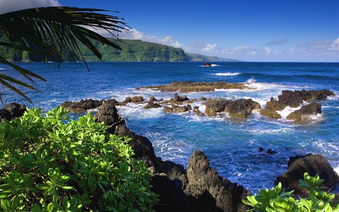 Maui, Hawaii, Estados Unidos, mar Fondos de pantalla, imagen