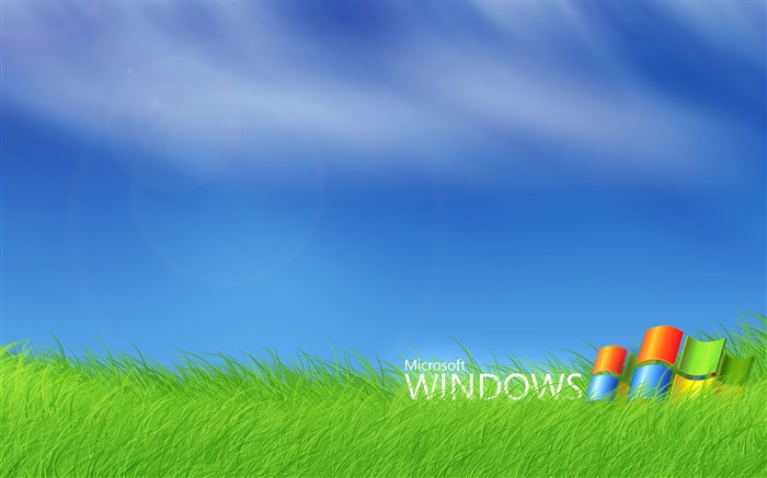 Logotipo de Microsoft Windows en la hierba Fondos de pantalla, imagen