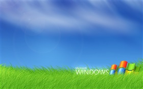 Logotipo de Microsoft Windows en la hierba