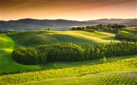 Mañana paisaje, campos, niebla, Italia HD fondos de pantalla