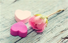 Rosa rosa y el amor en forma de corazón HD fondos de pantalla