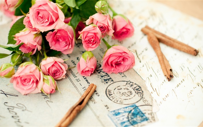 Flores Rosa rosa, carta Fondos de pantalla, imagen