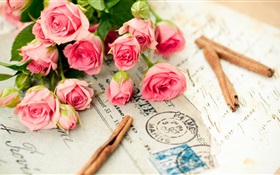 Flores Rosa rosa, carta HD fondos de pantalla