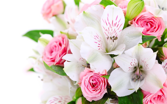 Rosas de color rosa, orquídeas blancas Fondos de pantalla, imagen
