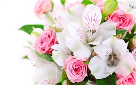 Rosas de color rosa, orquídeas blancas