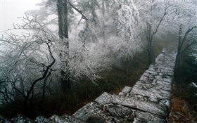 paisaje escarcha, árboles, invierno, nieve, el paisaje de China HD fondos de pantalla