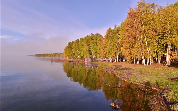 Rusia, el lago Baikal, árboles Fondos de pantalla, imagen