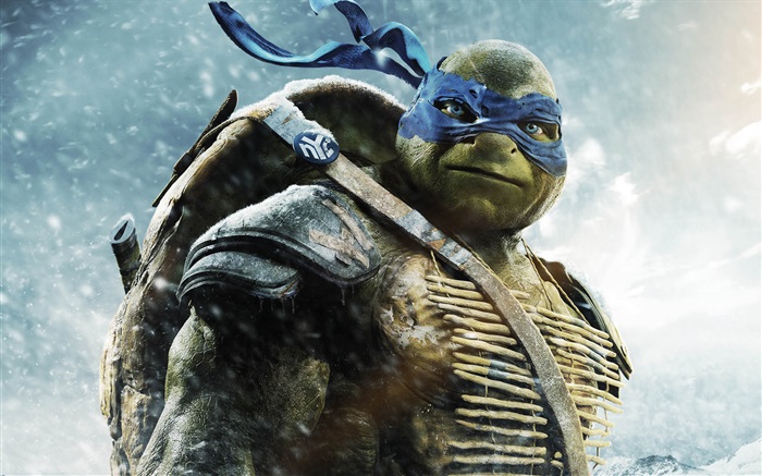 Teenage Mutant Ninja Turtles, Leo Fondos de pantalla, imagen