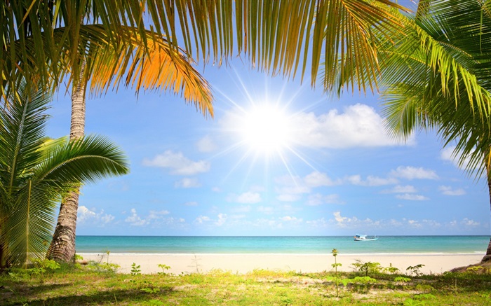 Playa tropical, sol, palmeras Fondos de pantalla, imagen