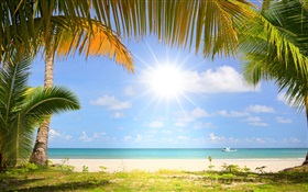 Playa tropical, sol, palmeras HD fondos de pantalla
