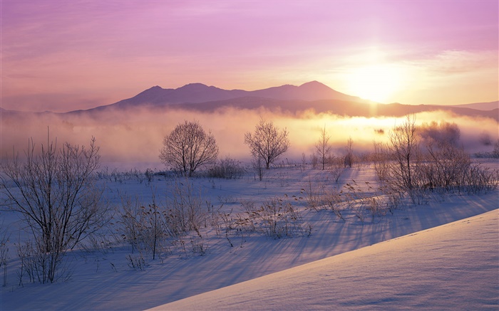 Mañana de invierno, nieve, árboles, niebla, salida del sol Fondos de pantalla, imagen