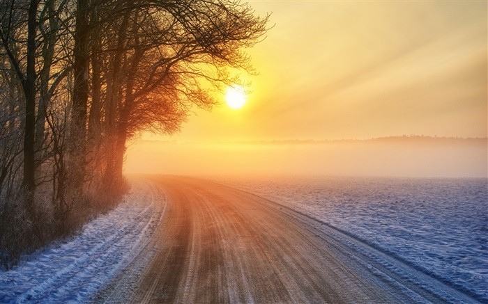 Amanecer de invierno, camino, niebla, árboles Fondos de pantalla, imagen