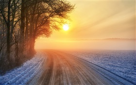 Amanecer de invierno, camino, niebla, árboles HD fondos de pantalla