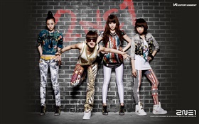 2NE1, niñas de música coreana 02 HD fondos de pantalla