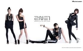 2NE1, niñas de música coreana 03 HD fondos de pantalla