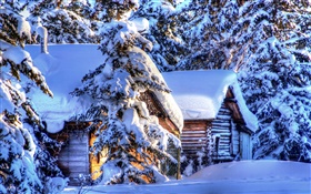 Alaska, la nieve espesa, bosque, abeto, cabañas, invierno