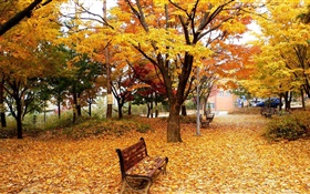 Otoño, árboles, hojas, parque, banco HD fondos de pantalla
