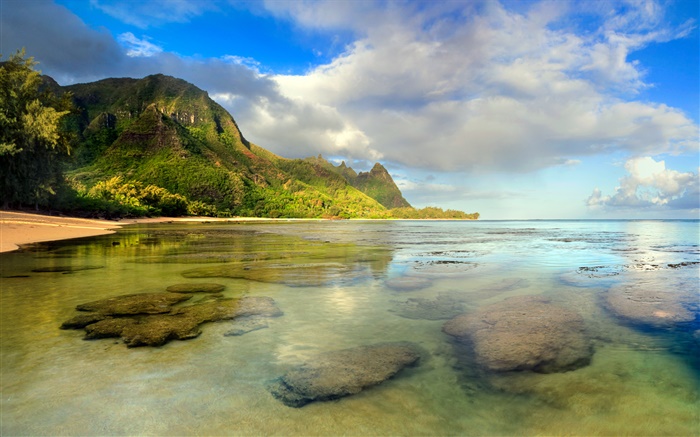 Playa, arrecife de coral, subacuático, Kauai, hawaiana Fondos de pantalla, imagen