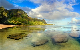 Playa, arrecife de coral, subacuático, Kauai, hawaiana HD fondos de pantalla