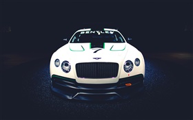 Vista delantera del coche Bentley Continental GT3 Concept