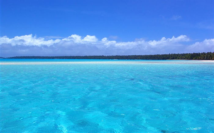Paisaje costa azul, palmeras, playa Fondos de pantalla, imagen