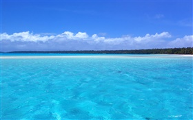 Paisaje costa azul, palmeras, playa HD fondos de pantalla
