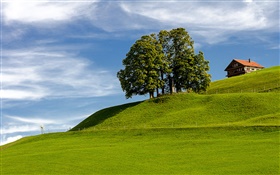 Cielo azul, hierba, árbol, casa, ladera, Einsiedeln, Schwyz, Suiza HD fondos de pantalla