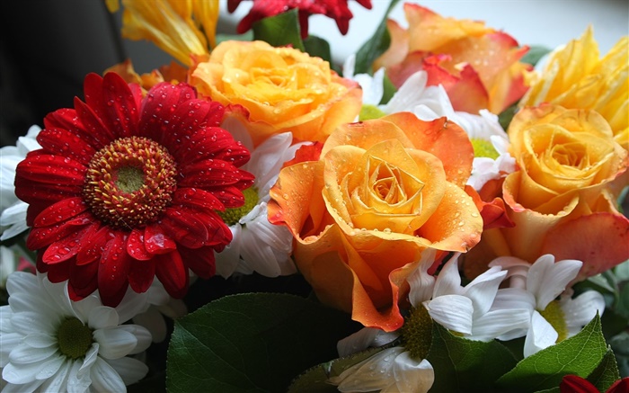 Ramos, rosas y crisantemos Fondos de pantalla, imagen