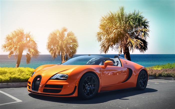 Bugatti Veyron naranja hypercar superdeportivo Fondos de pantalla, imagen