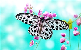 Flores de mariposa y morado HD fondos de pantalla
