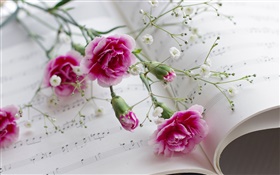 Claveles, flores rosadas, libro