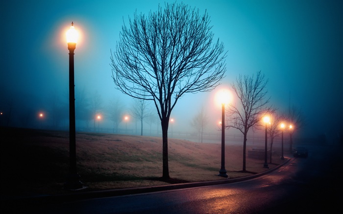 Ciudad, noche, niebla, calle, parque, las luces Fondos de pantalla, imagen