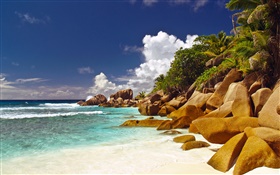 Costa, playa, piedras, mar, nubes, Seychelles Island HD fondos de pantalla