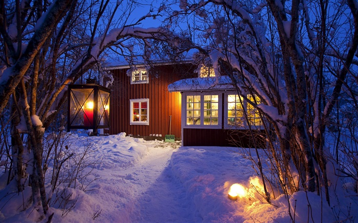 Cabaña del país, los árboles cubiertos de nieve, Suecia, la noche, las luces Fondos de pantalla, imagen