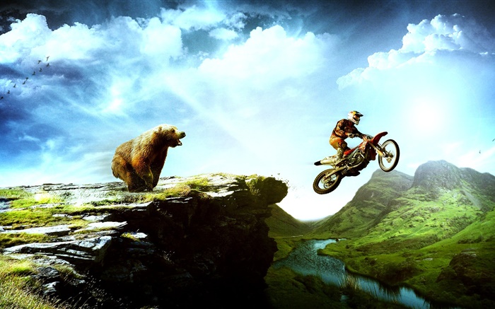 Imágenes creativas, motocicleta persecución oso Fondos de pantalla, imagen